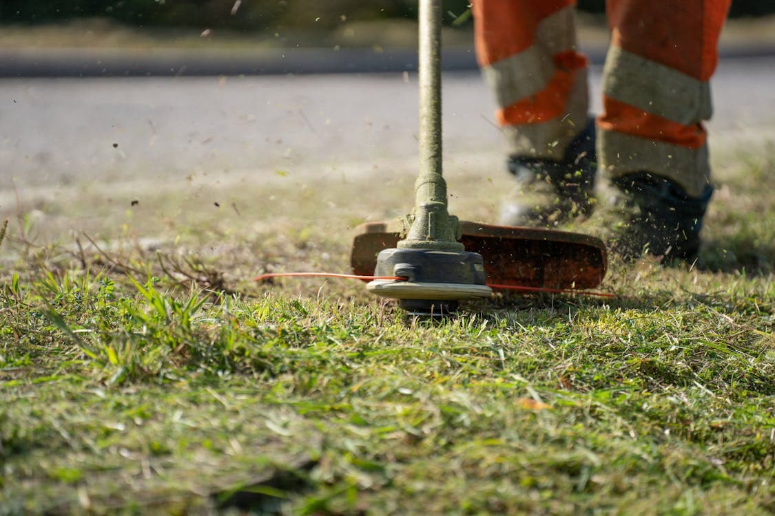 Yard & Lawn Maintenance